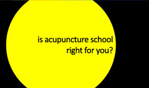 acupuncture school opening series
